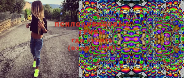 прущие грибы Михайловка