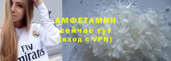 прущие грибы Михайловка