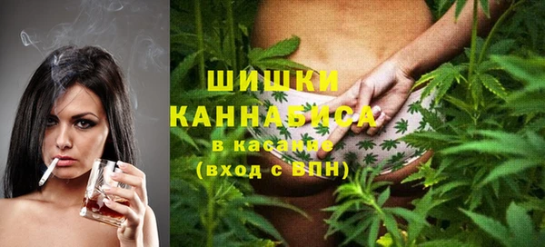 прущие грибы Михайловка