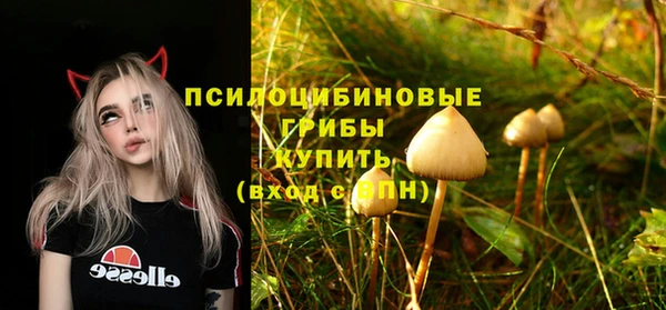 mix Михайловск