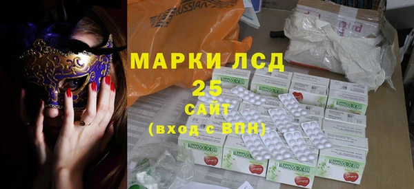 прущие грибы Михайловка