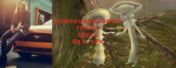 прущие грибы Михайловка